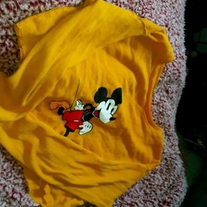 A long sleeved crop top